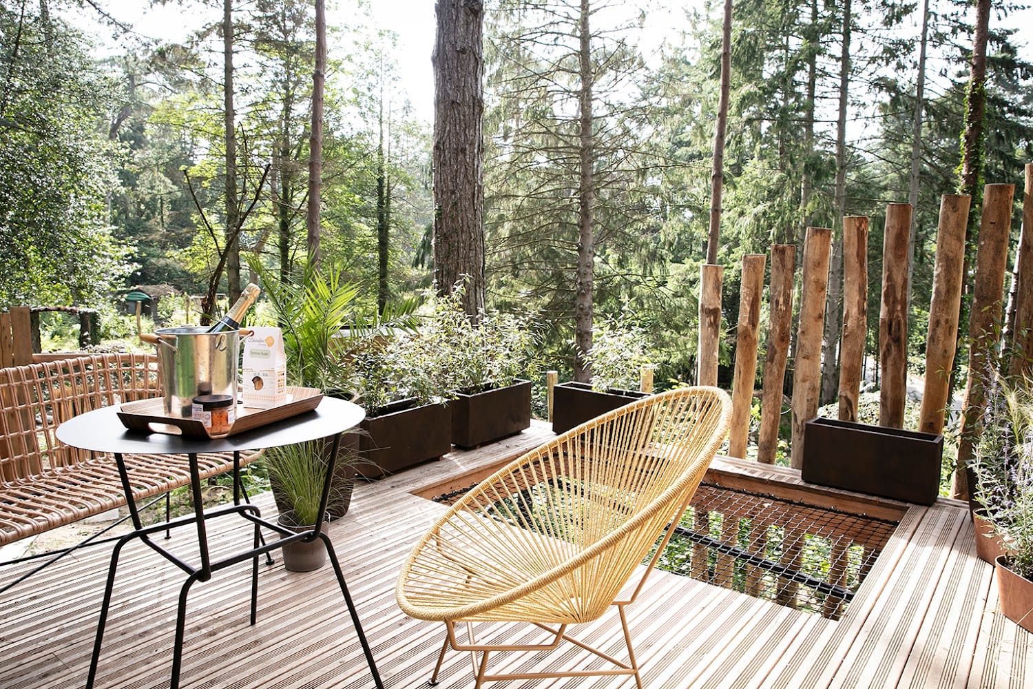 Bain de forêt – Lodges cosy & Spa
