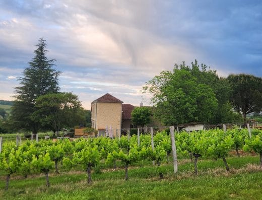 Domaine de Gingeau – Françoise Blancan