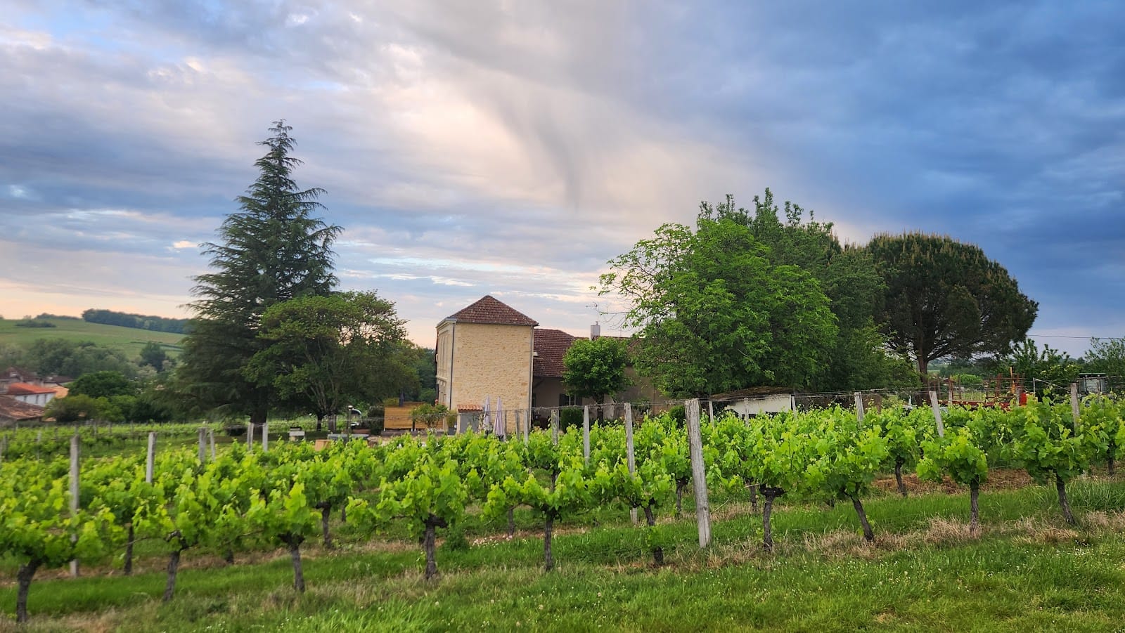 Domaine de Gingeau – Françoise Blancan