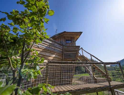 Escale Cab’âne Hébergements insolites avec SPA privé en Alsace