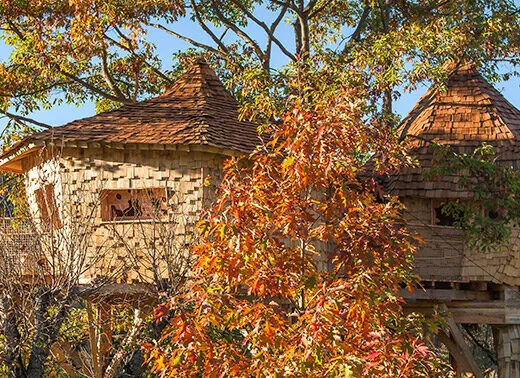Les Cabanes du Chêne Rouvre